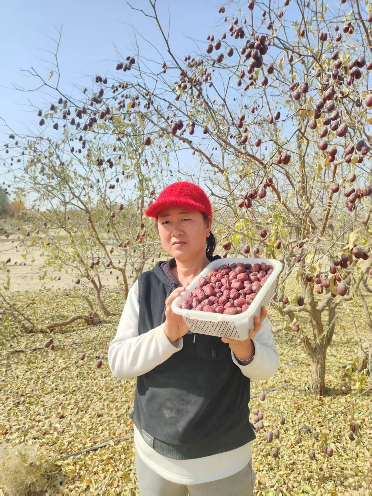 新疆正宗原生态灰枣原汁原味带土带沙
