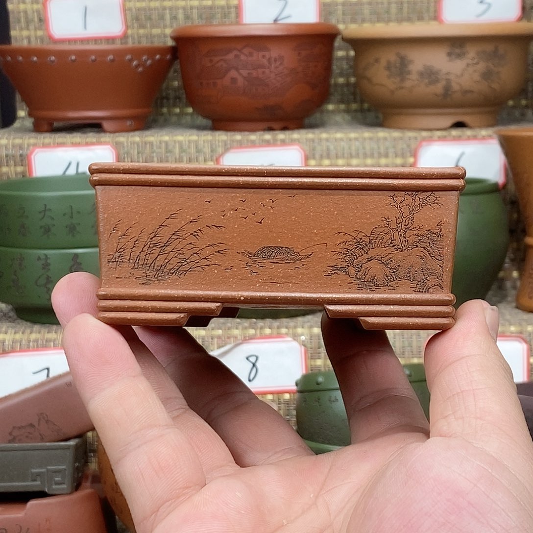紫砂花盆我在开会没