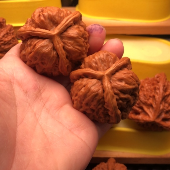 ****生核桃核桃核桃核桃