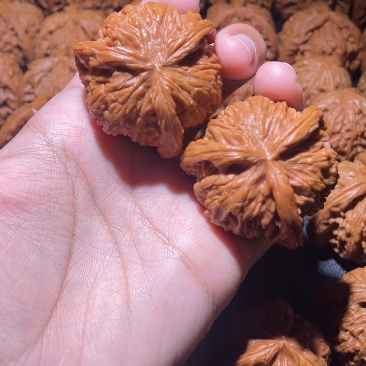 王***猫桃核吊坠小妹三棱