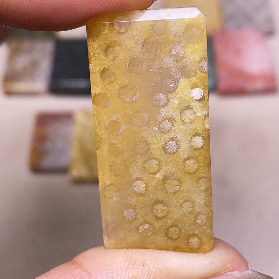 康***道硅化玉合金珊瑚玉
