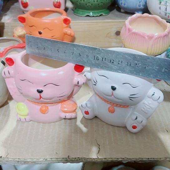 红陶111111111111111111111