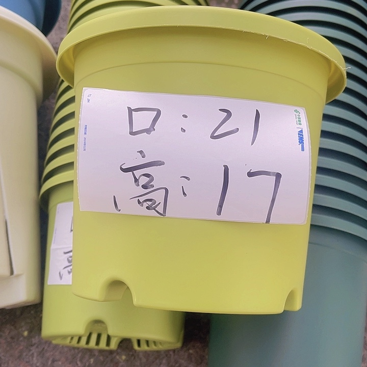 树脂特价3号21口径果绿色10个