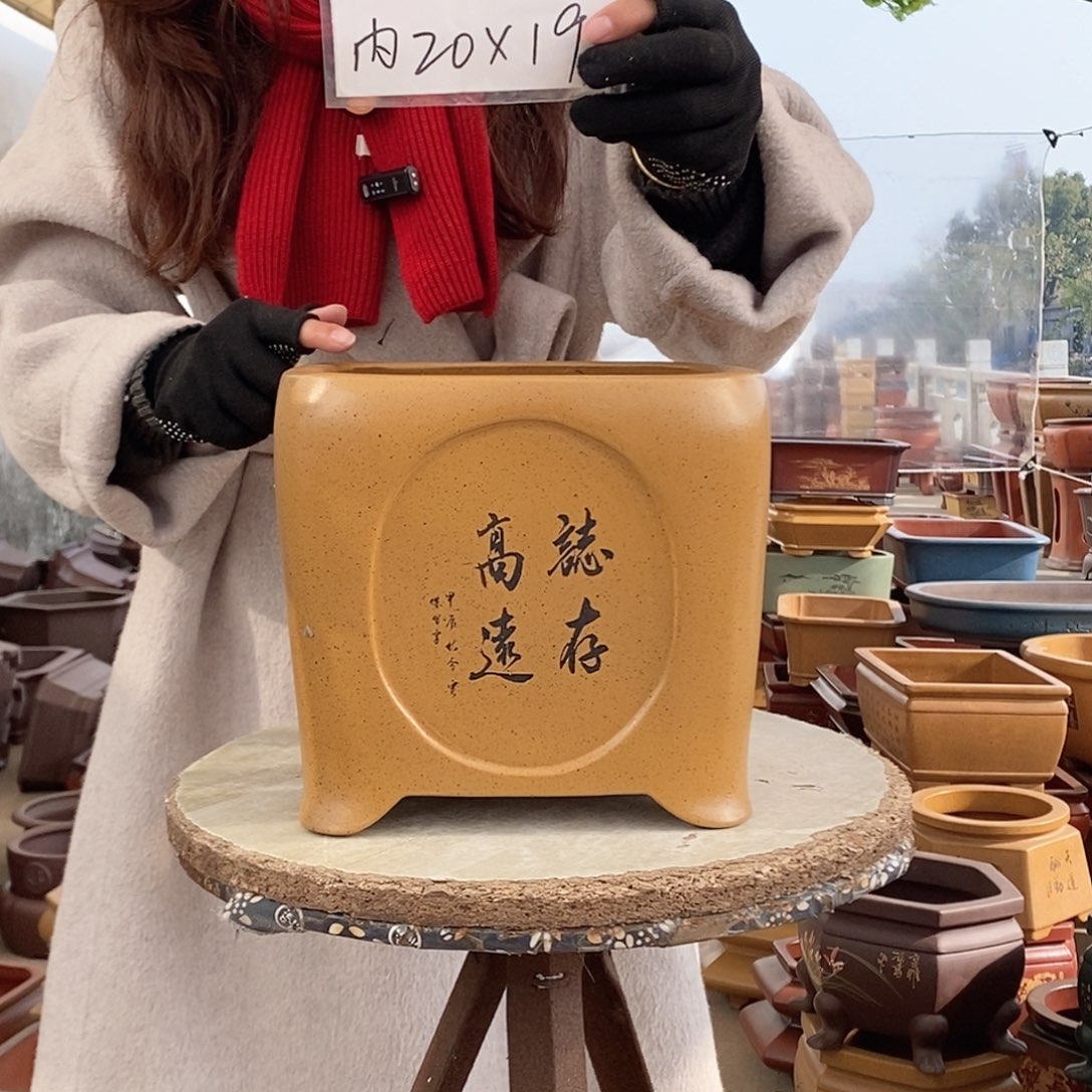 紫砂花盆紫砂花盆