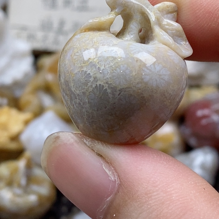 颈饰未镶嵌硅化珊瑚（珊瑚玉）小