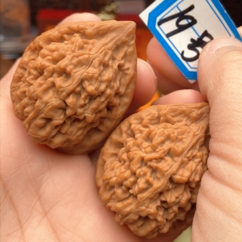 文玩核桃吊坠蚂蚁王38