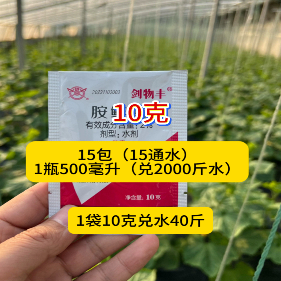 云仓安鲜脂促进叶面肥吸收生根壮苗叶片浓绿提高氨基酸肥料利用率