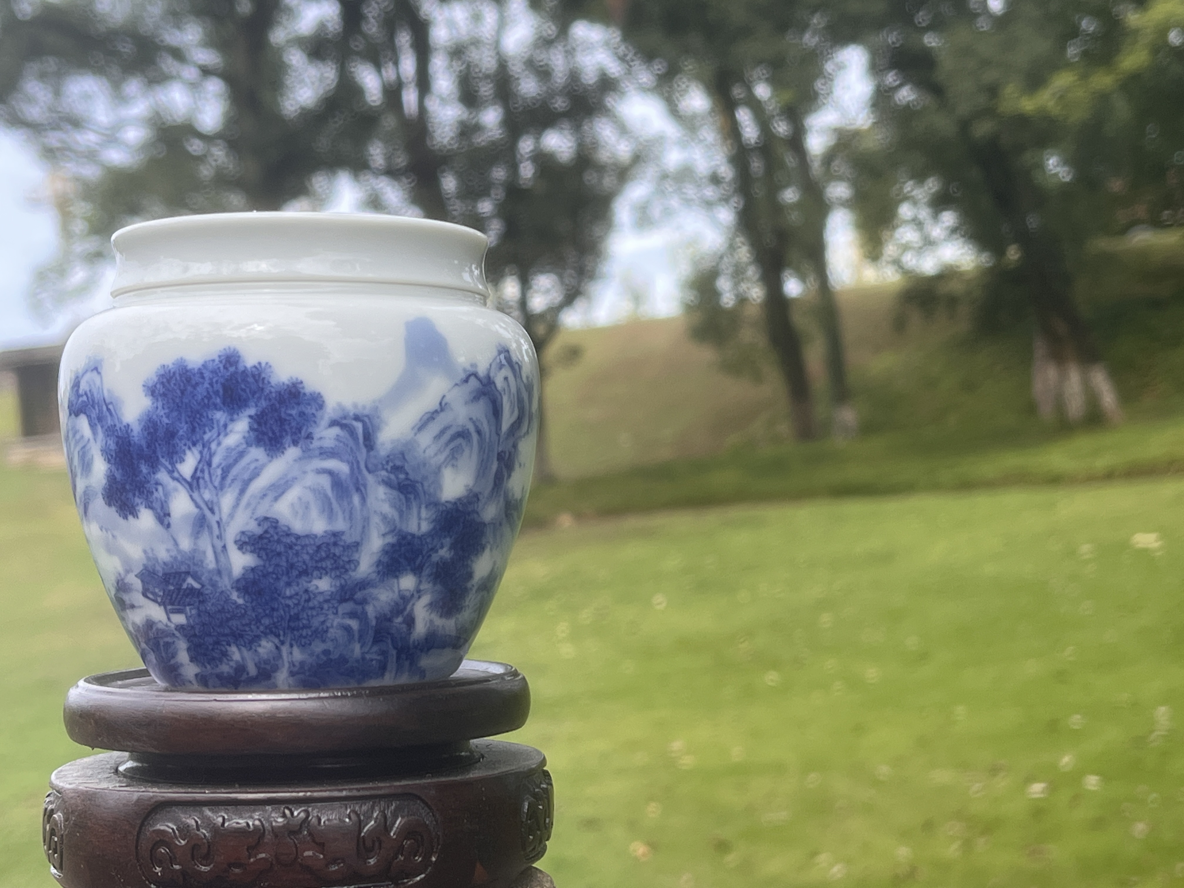 陶瓷茶叶罐罐储存红茶龙井等茶叶