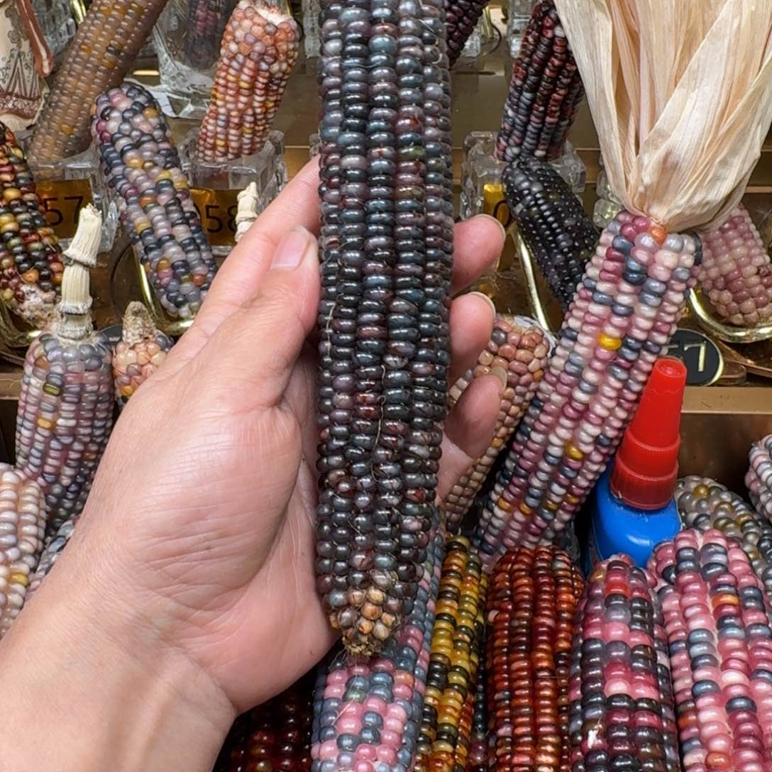 柏香籽/百香籽吊坠康**仔