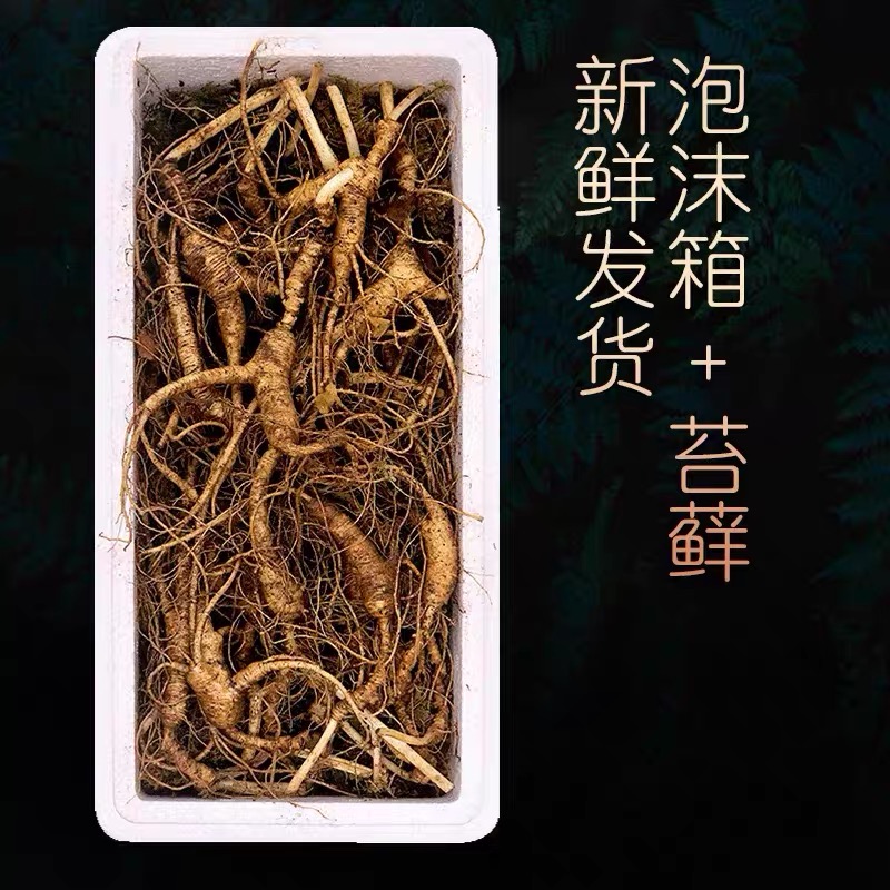 【顺丰包邮】林下参长白山新鲜林下野播籽参煲汤泡水泡酒佳品