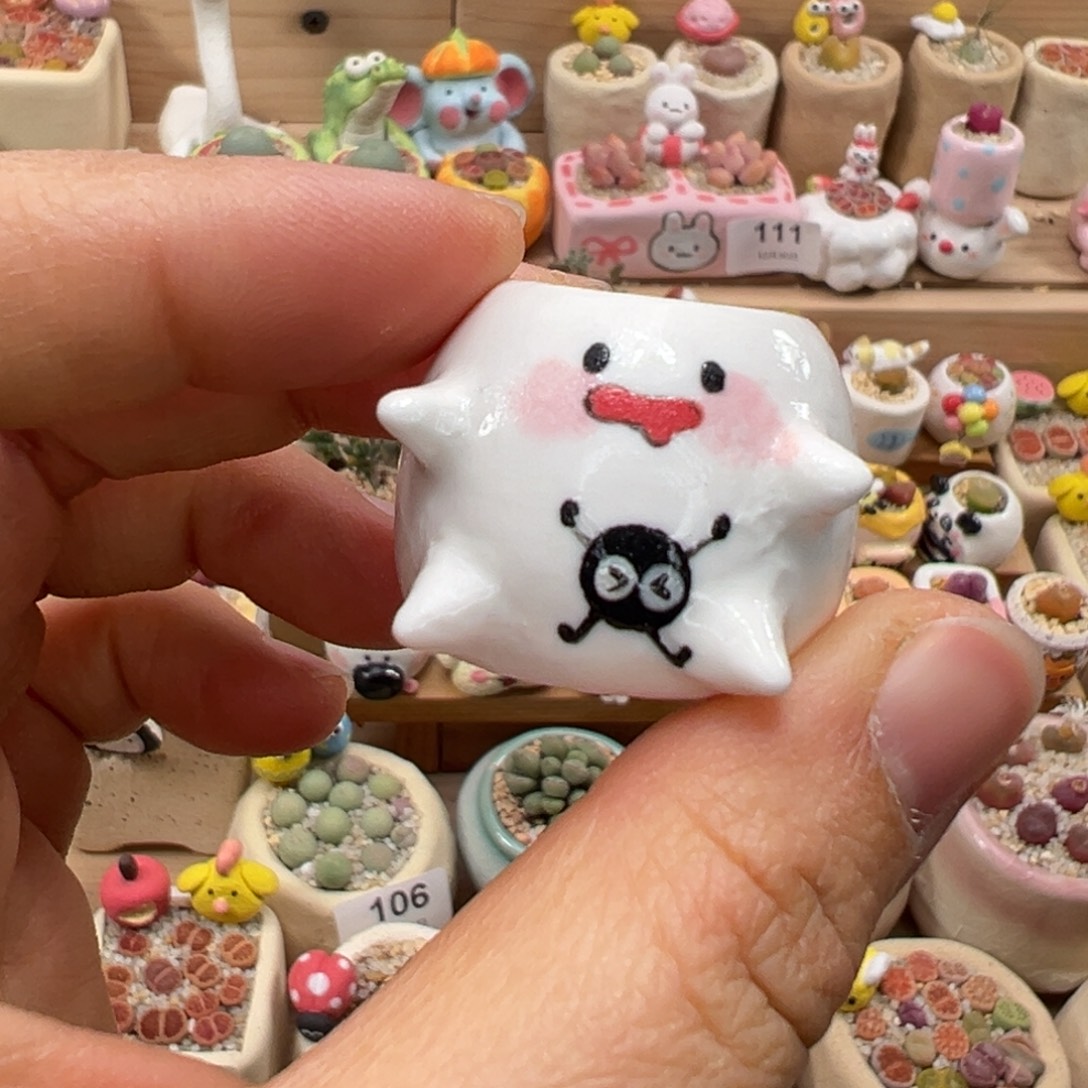 快***米多肉植物156号单独盆