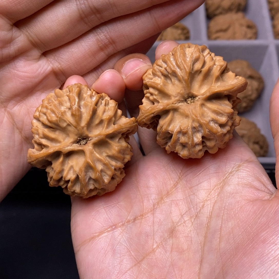 M***i文玩核桃吊坠全品苹果园