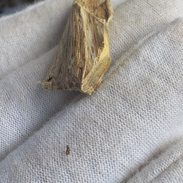 沉香沉香枕百年虎斑棋0.72克