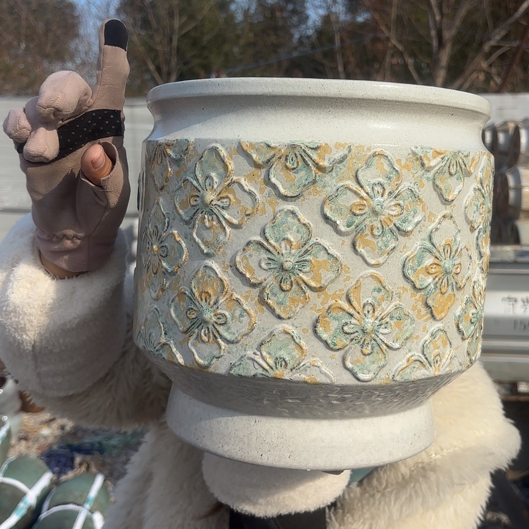 口径25高25一个菠萝新色