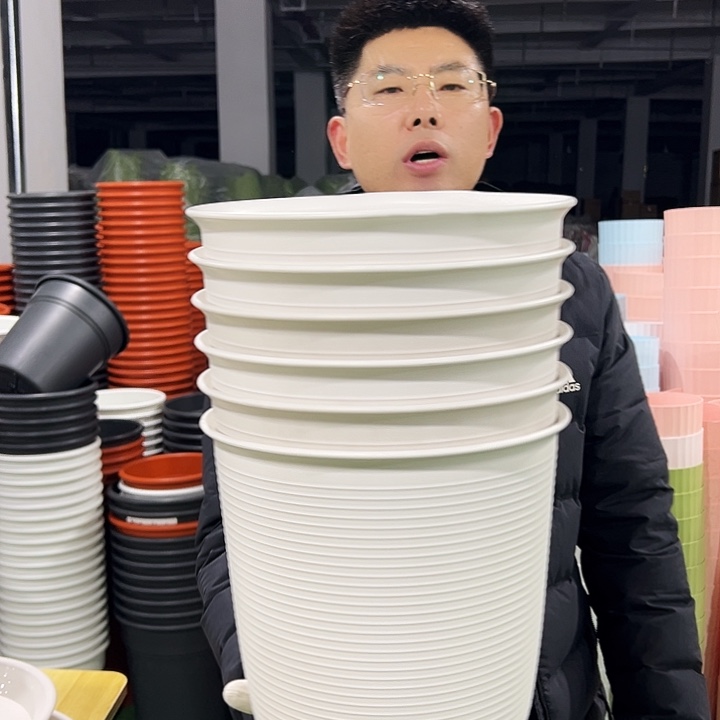 正品高陶口27高27白色4只无托