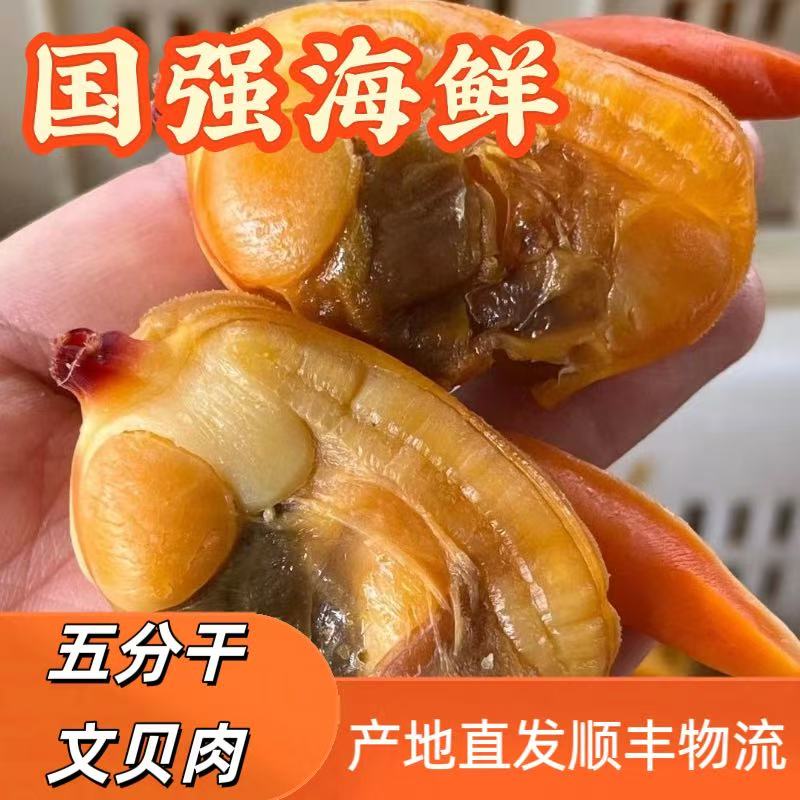 丹东东港文贝干 去内脏 即食文贝 鲜活加工 6成干
