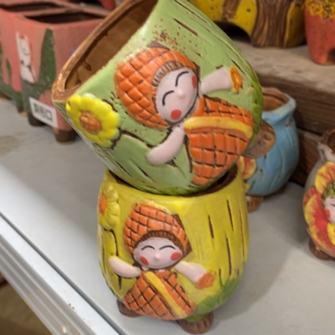 【闪购商品】红陶1