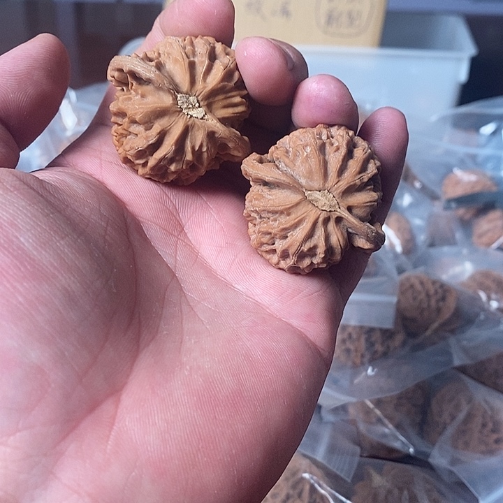 大叶紫檀（黑酸枝木类）