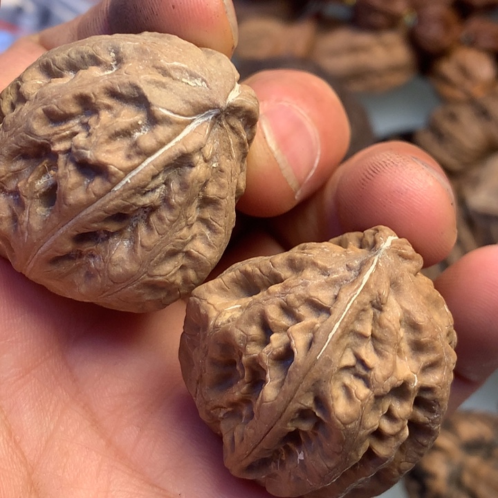 猴头核桃把件拿姐107