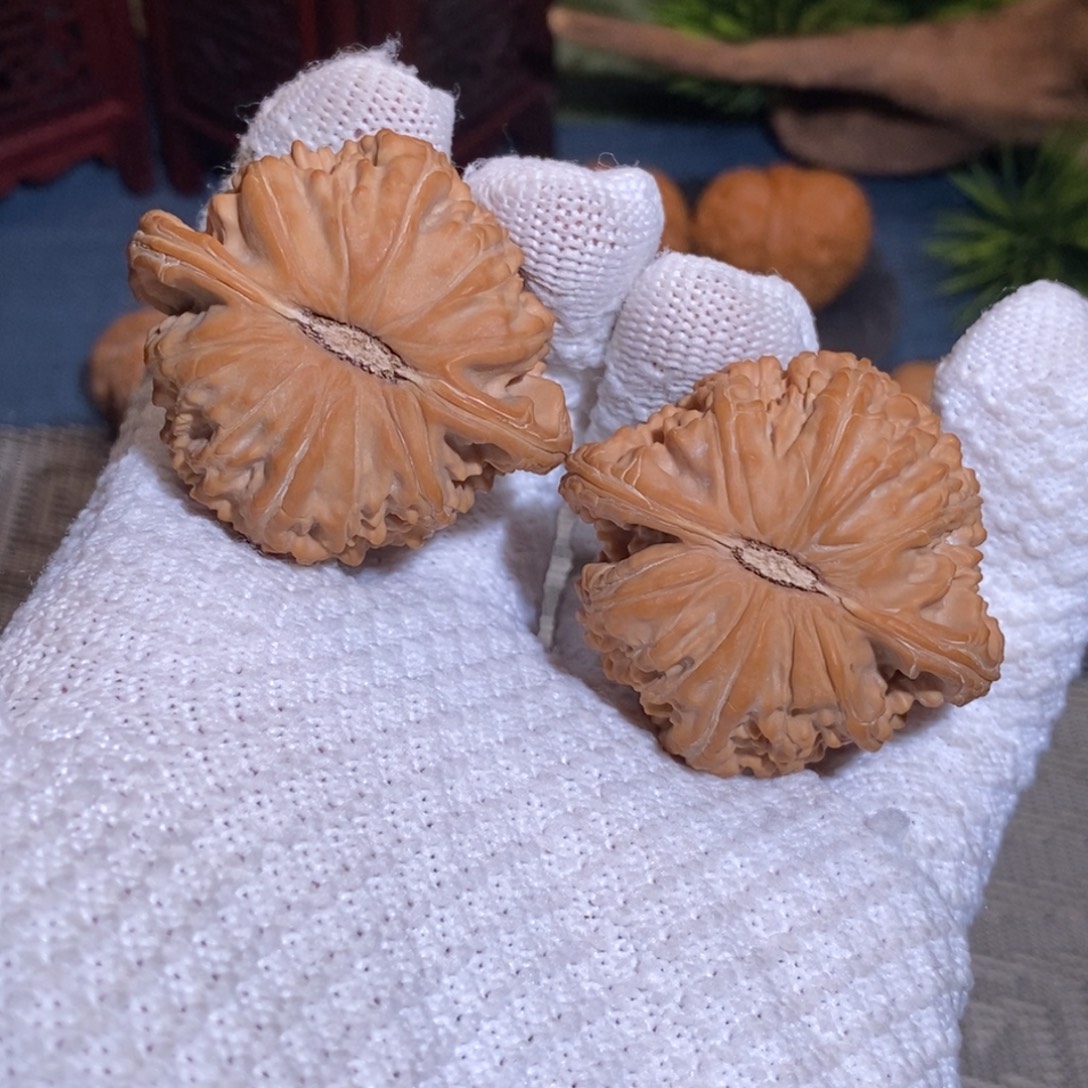 46尺 全品无修白茬 25头茬 球白