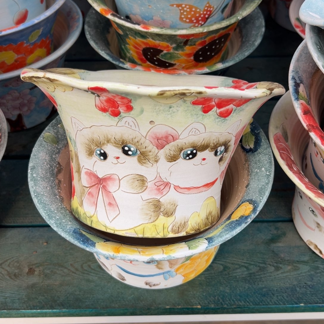 多肉一物一拍0305-手绘盆20