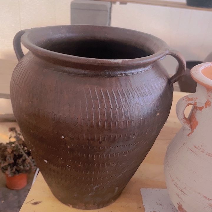 红陶288号27×20咖瑕