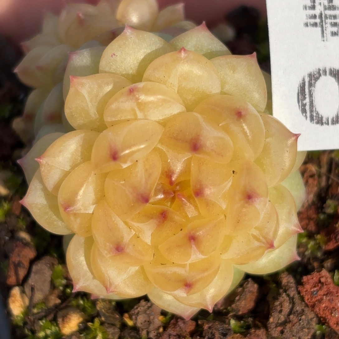 014的最后几个小时了我还是想