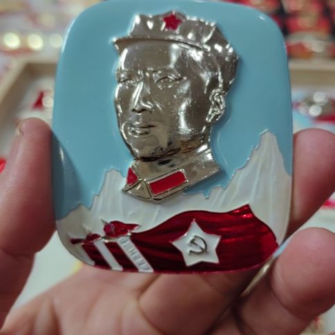 其他普通金属楼**说纪念章
