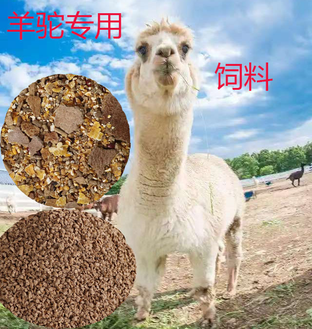 羊驼饲料颗粒料粉料高蛋白高营养批发