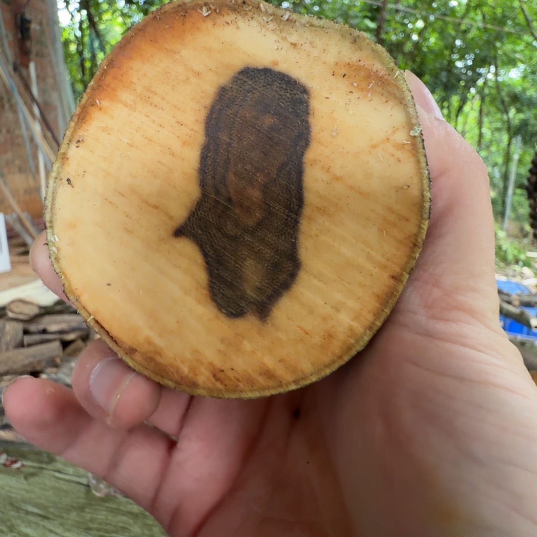 ，***线香奇楠沉香原木