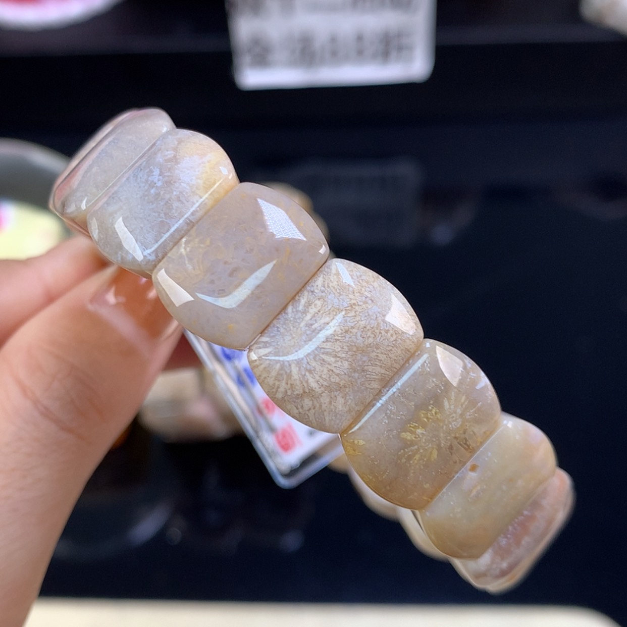【闪购商品】颈饰未镶嵌硅化珊瑚（珊瑚玉）开播福利手牌12号