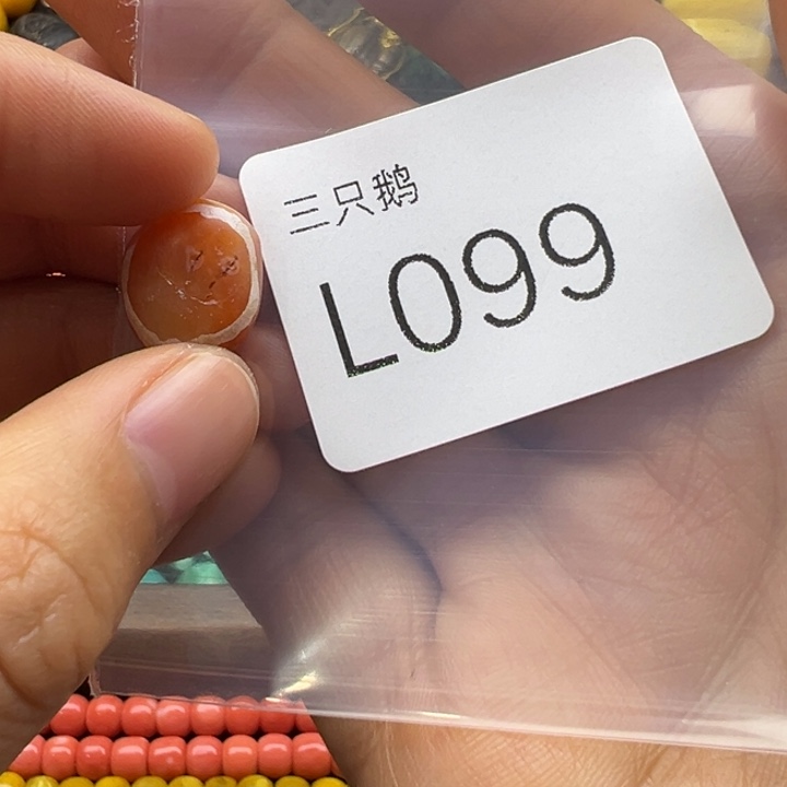 吊坠菩提根/象牙果