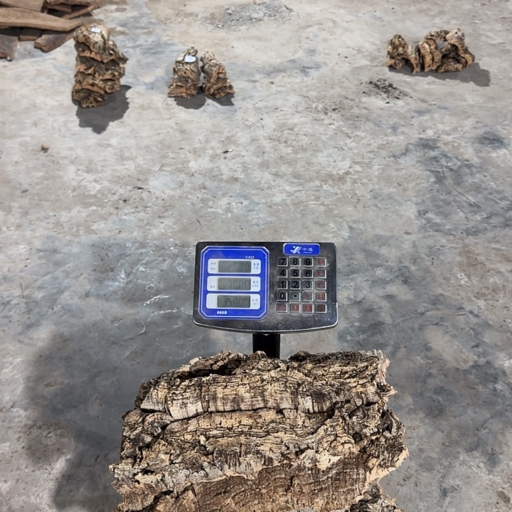 新***语无花朵一物一拍一物一发