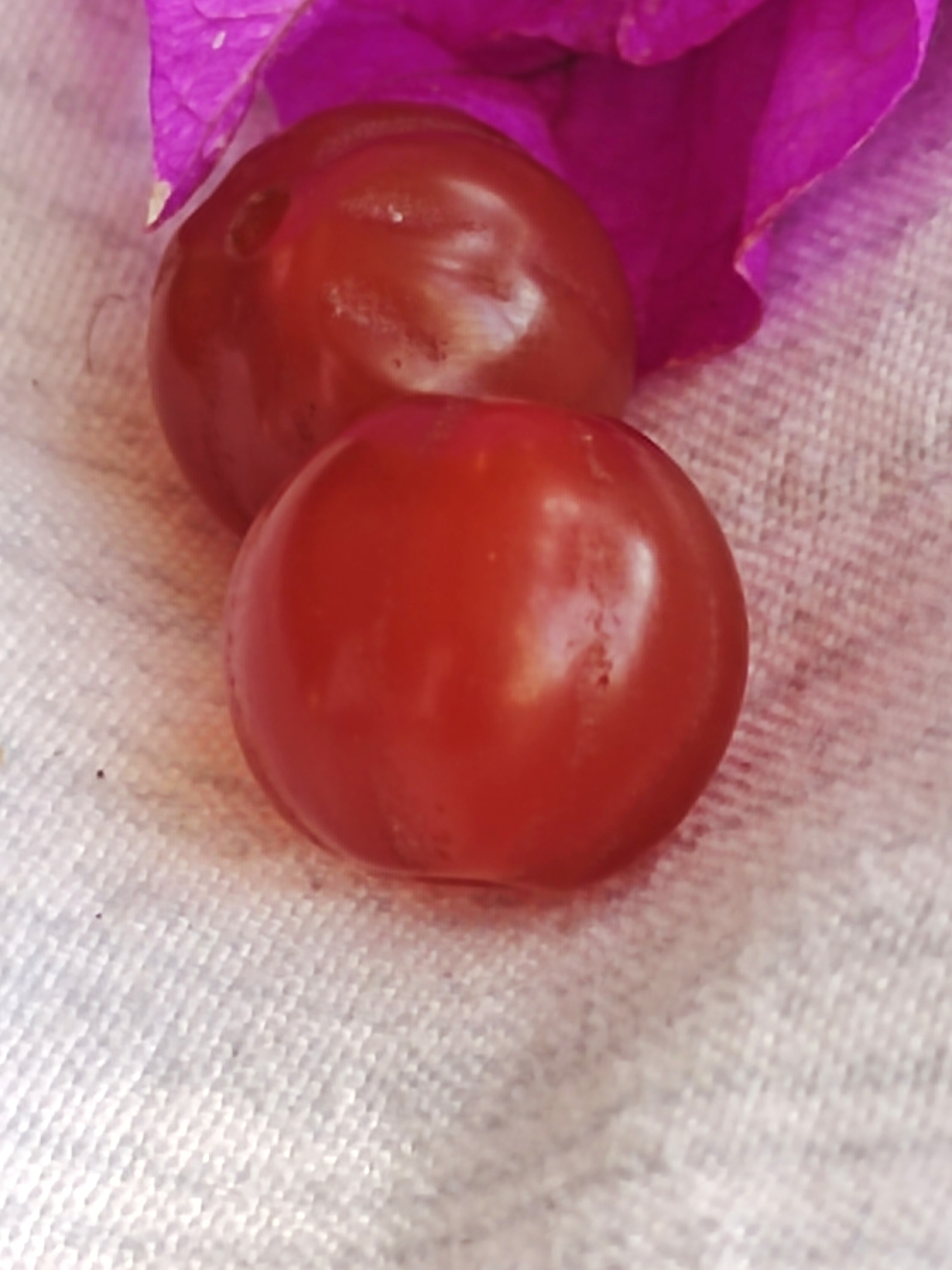 静雅古珠一玛瑙灯笼吊坠一对尺寸10mm