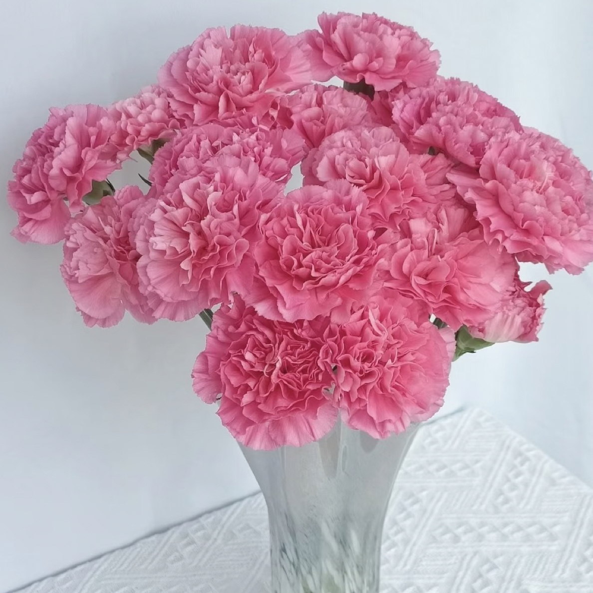 小桃红康乃馨20枝（其中5枝不售后）