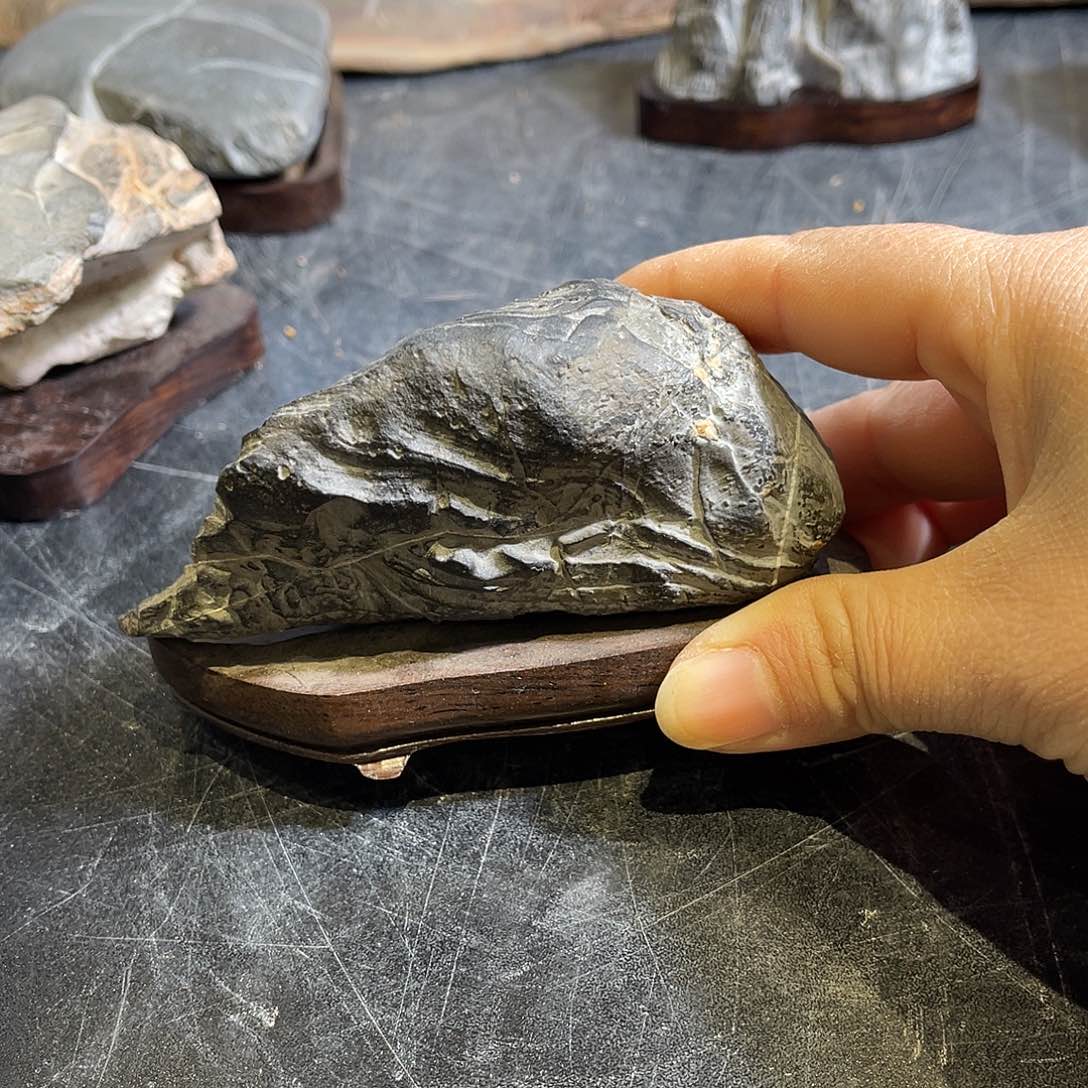 紫砂我也不知道自己为什么