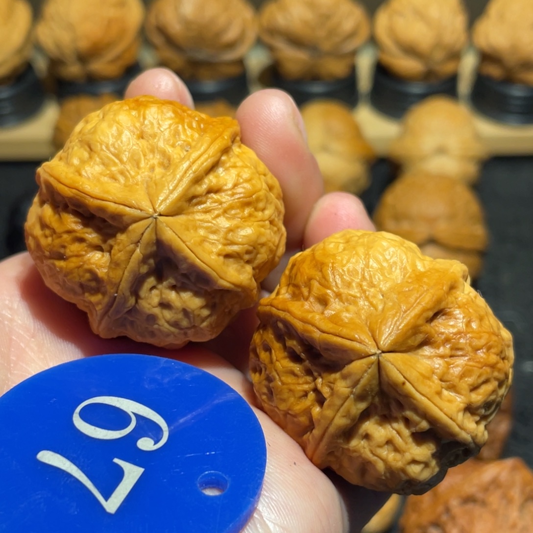 七彩宝塔四棱核桃37