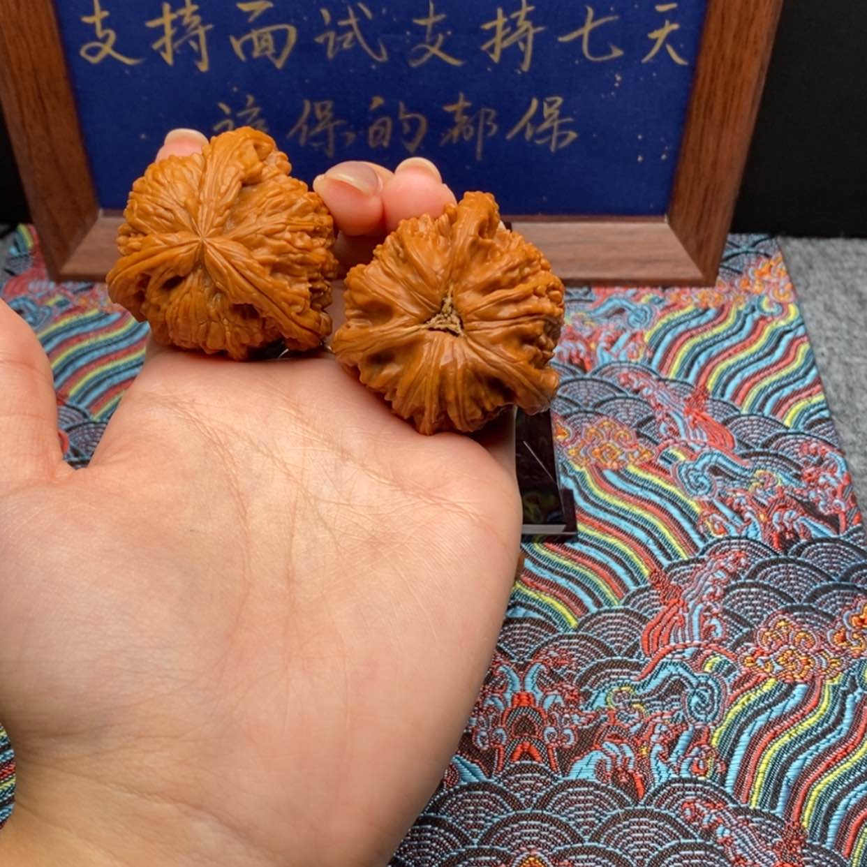【闪购商品】不****財白狮