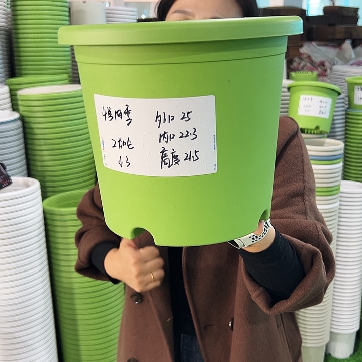 特价4号口25高21绿色无托8只