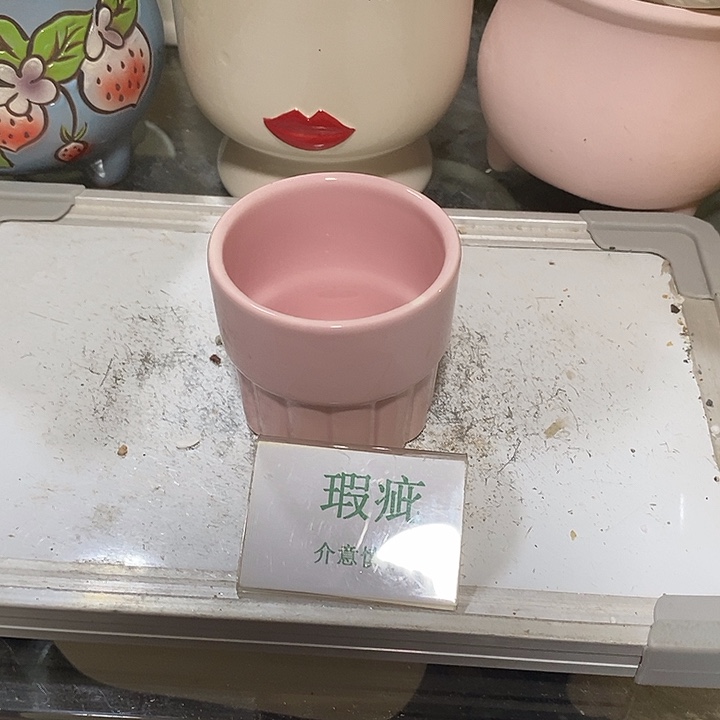 紫砂花盆多肉植物盆瑕疵有孔