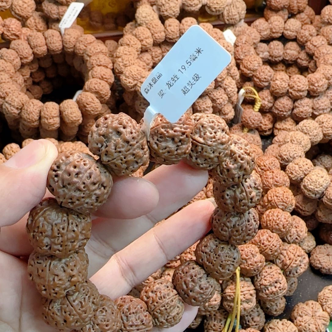 金刚菩提手串南*龙蛭