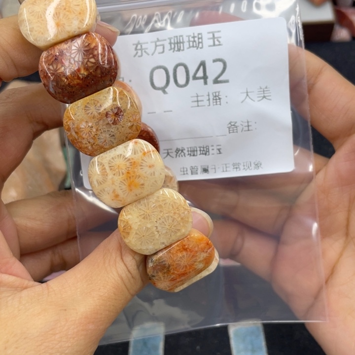 种***子硅化珊瑚（珊瑚玉）合金颈饰