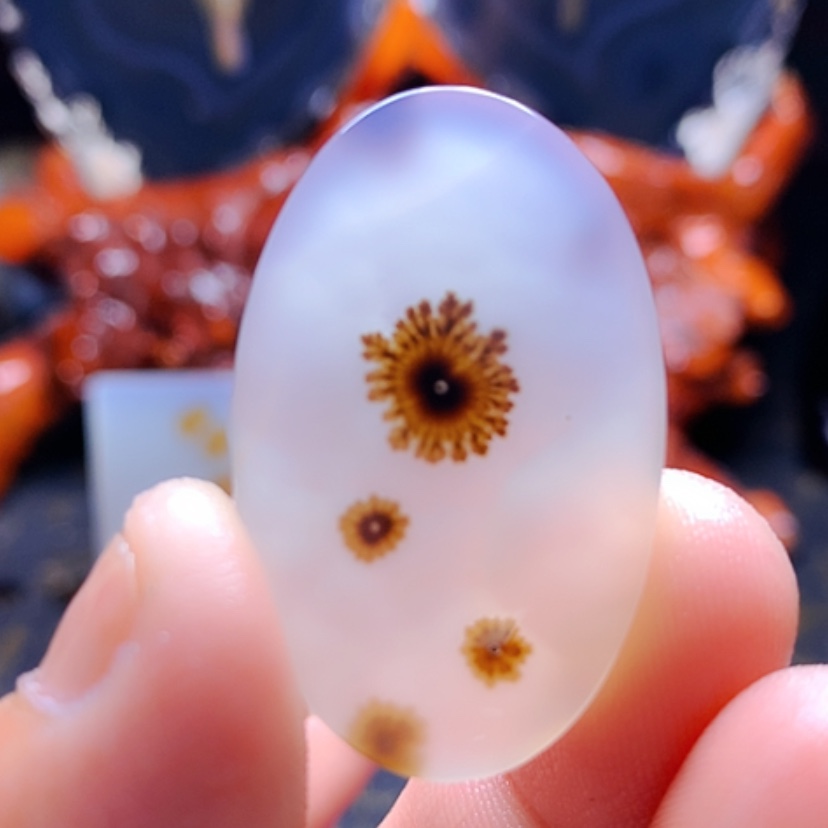 【闪购商品】玛瑙/玉髓颈饰未镶嵌