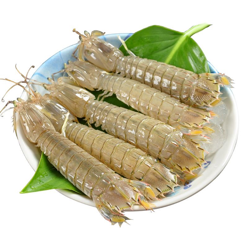 【长春同城】东港皮皮虾 3斤（保鲜不保活个头不均）