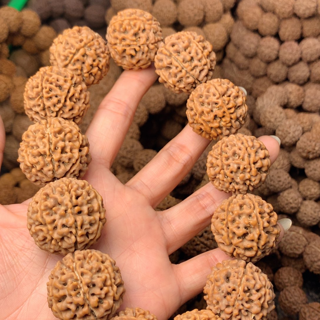 木7瓣爆肉卡28尺寸，40号