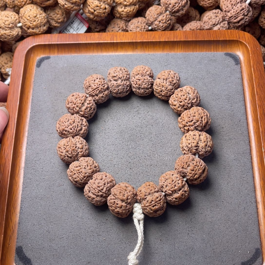 菩提籽类9号金刚菩提矮壮爆肉六瓣21