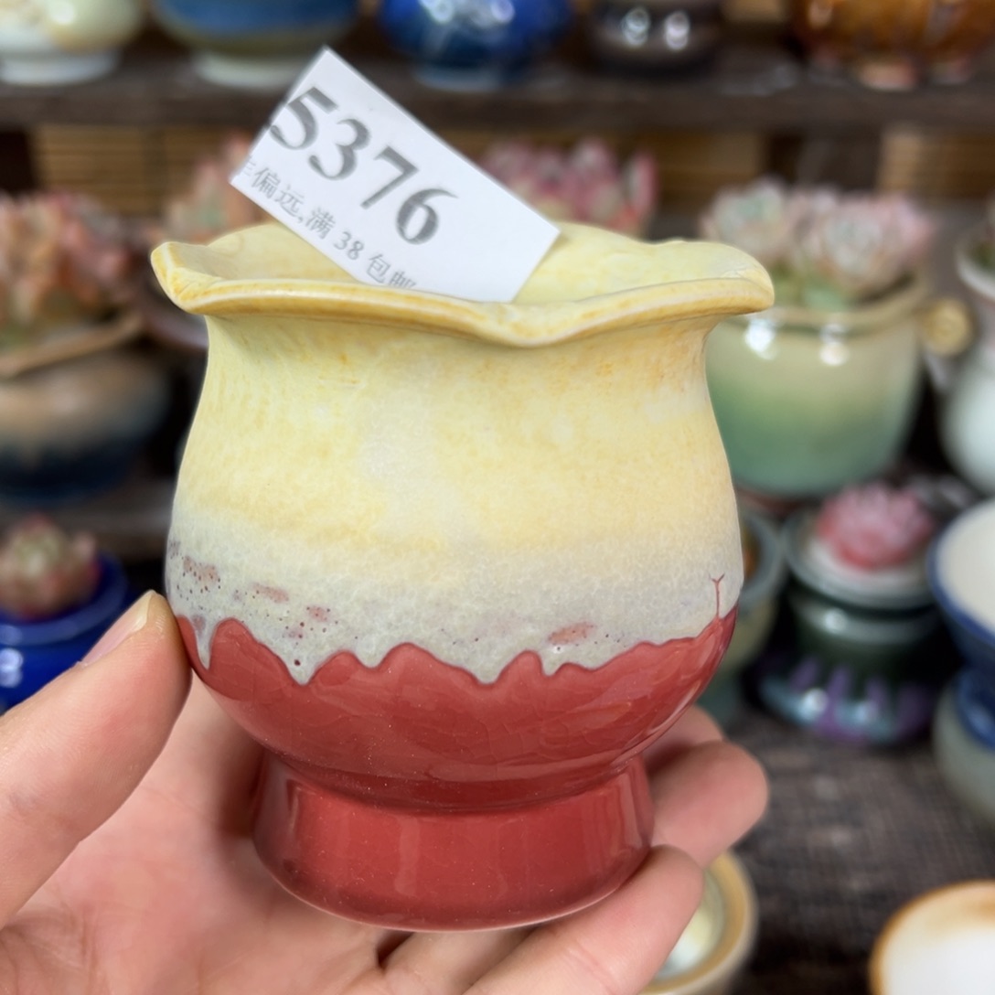 红陶景德镇陶瓷……