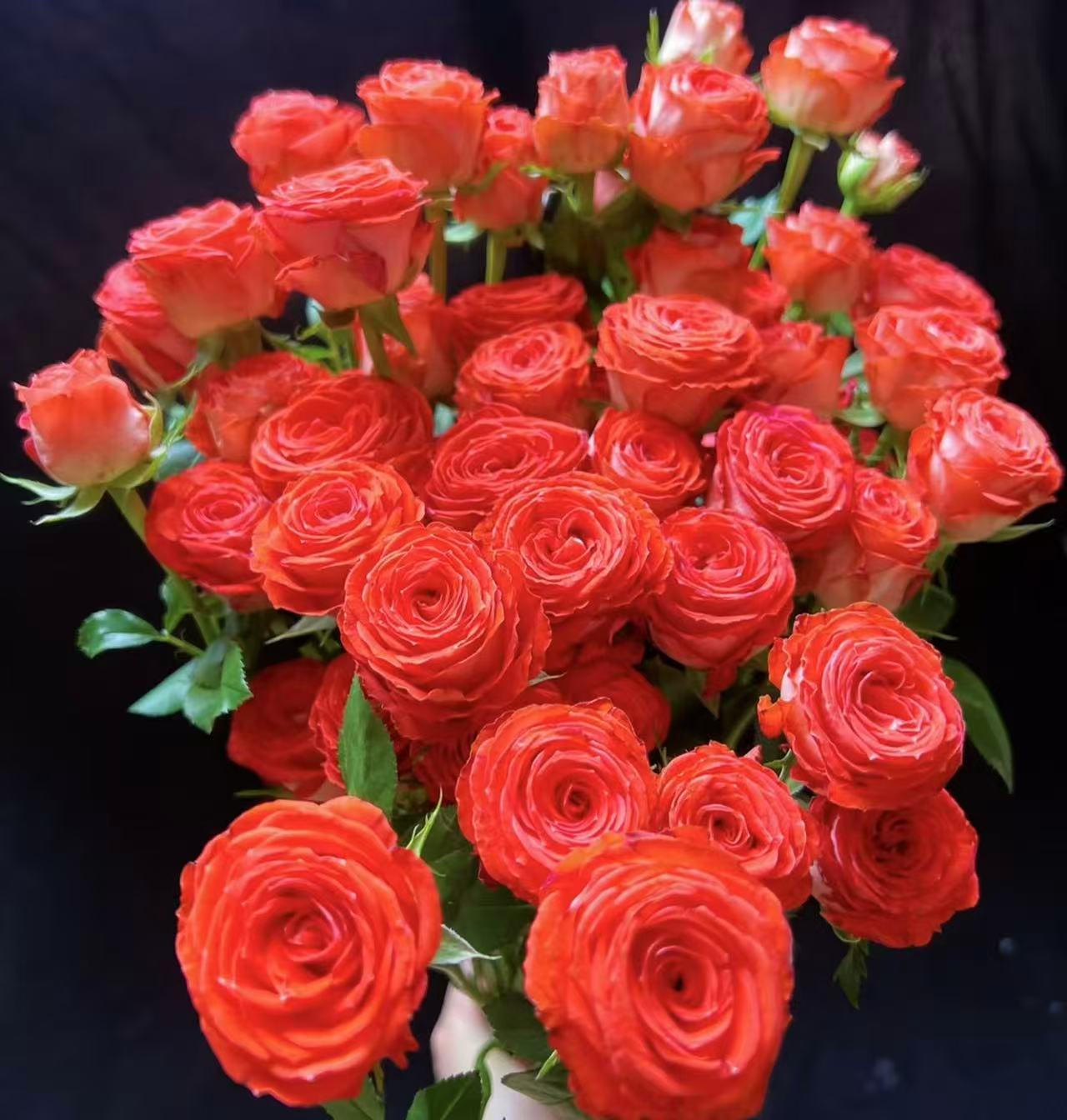 【惊艳多头泡泡】一单陆运  任意鲜花三单升级空运可分开下单