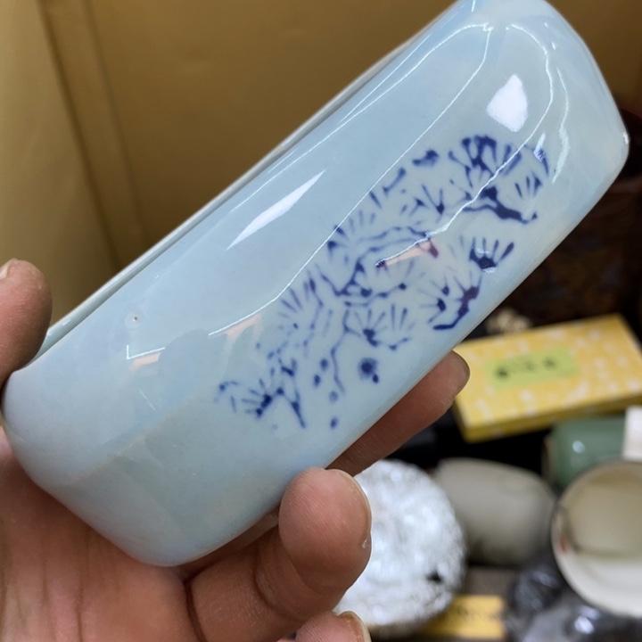 瓷片哦哦哦哦哦哦哦哦哦哦