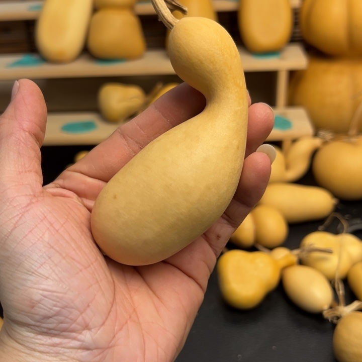 ?*?葫芦葫芦葫芦葫芦葫芦